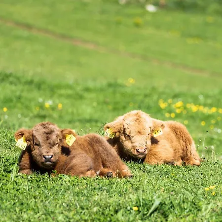 Appartement Steinackerhof Dachsberg