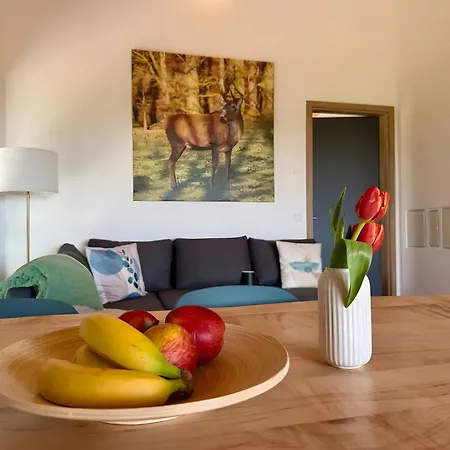 Steinackerhof Dachsberg Appartement *