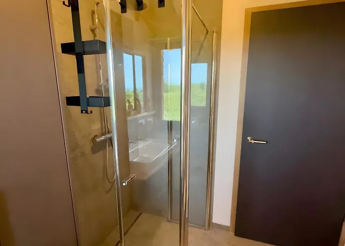 公寓 Steinackerhof Dachsberg