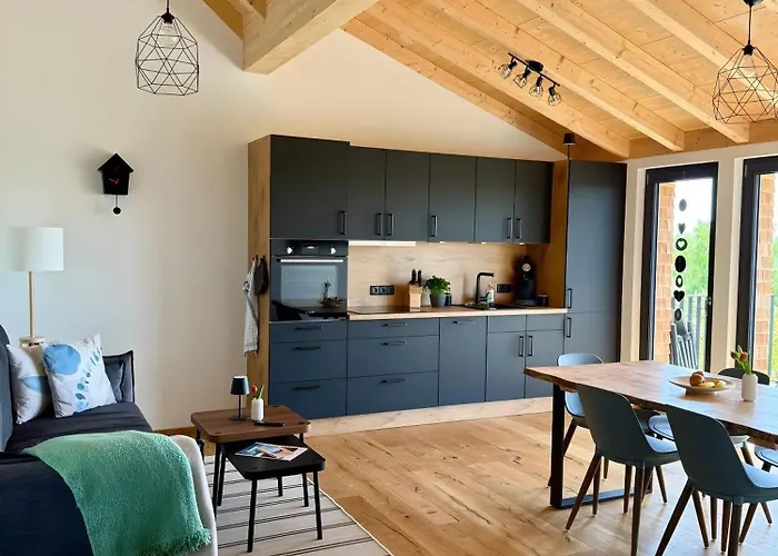 公寓 Steinackerhof Dachsberg