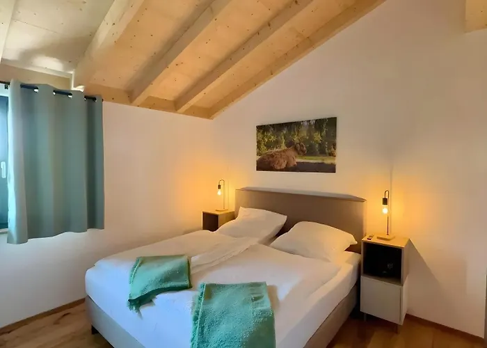 Steinackerhof Dachsberg * Wolpadingen