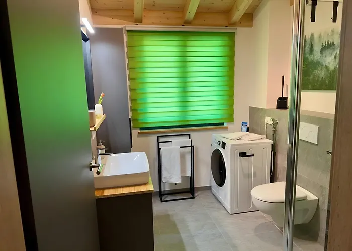 公寓 Steinackerhof Dachsberg