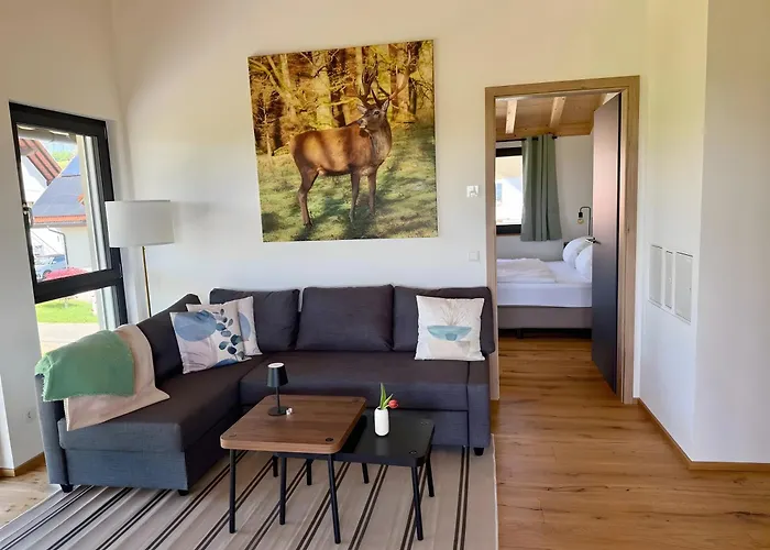 Steinackerhof Dachsberg 公寓 Wolpadingen