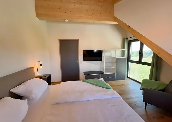 公寓 Steinackerhof Dachsberg *