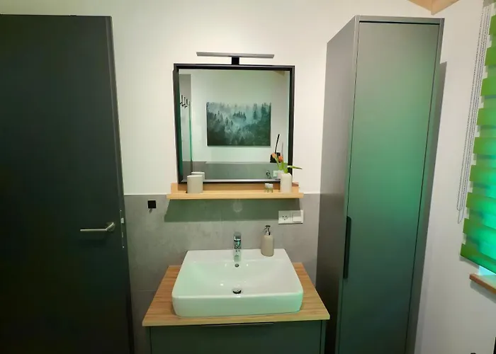 公寓 Steinackerhof Dachsberg Wolpadingen