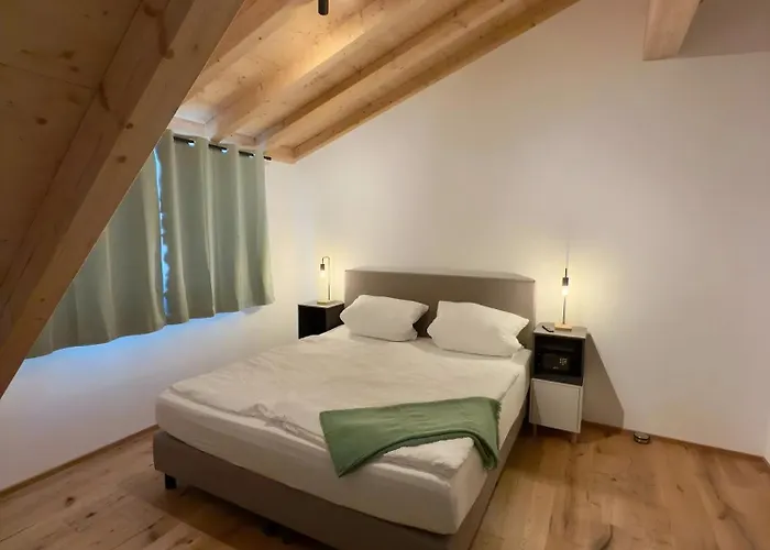 Steinackerhof Dachsberg 公寓