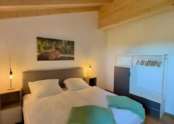 Steinackerhof Dachsberg 公寓 Wolpadingen