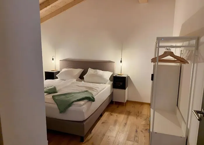 Steinackerhof Dachsberg 公寓 Wolpadingen