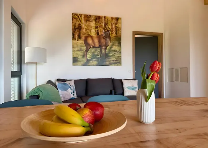 Steinackerhof Dachsberg 公寓 Wolpadingen