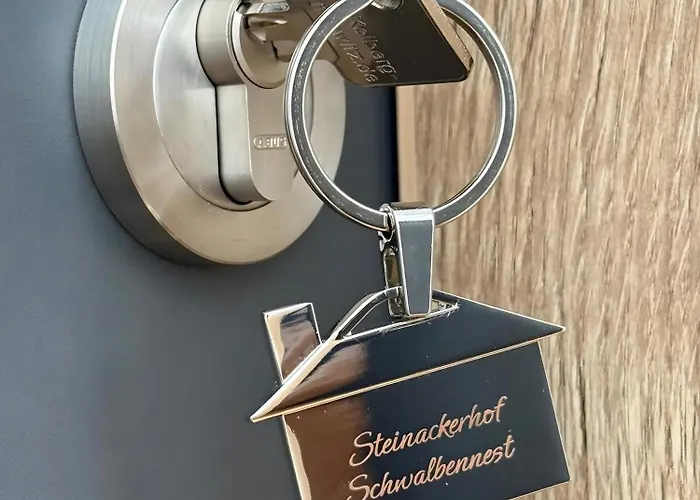 Steinackerhof Dachsberg 公寓