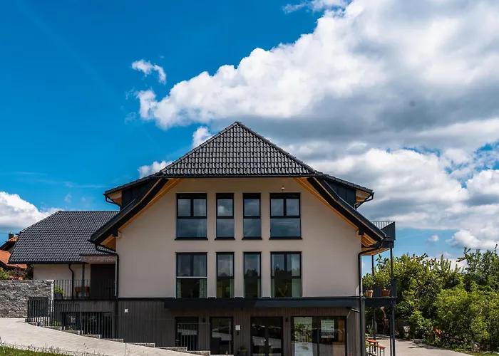 Steinackerhof Dachsberg 公寓