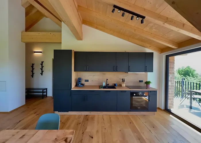 Steinackerhof Dachsberg 公寓 Wolpadingen